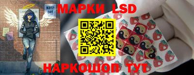 гашик Будённовск