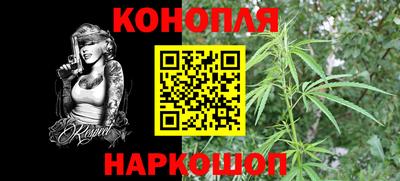 гашик Будённовск
