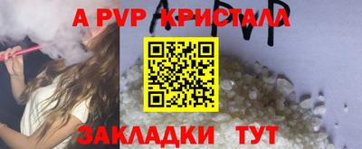 гашик Будённовск