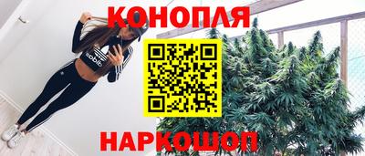 гашик Будённовск
