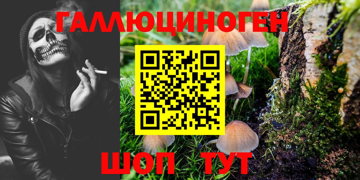 Псилоцибиновые грибы GOLDEN TEACHER Лобня