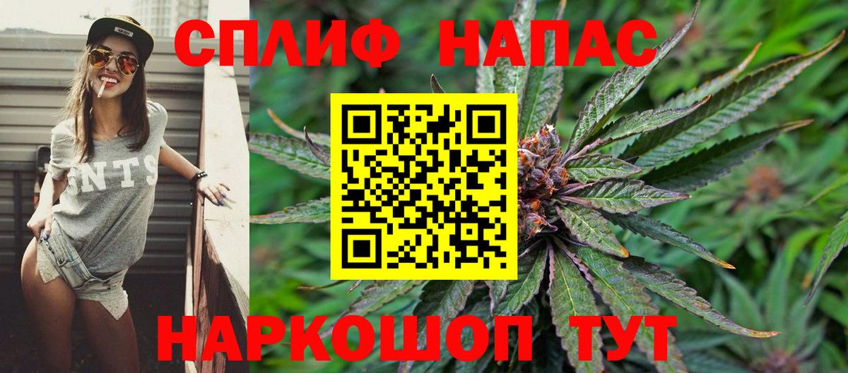 Каннабис OG Kush Лобня